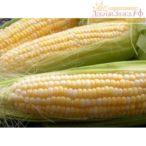 СЕМЕНА ЖЁЛТОЙ САХАРНОЙ КУКУРУЗЫ, 40 шт 