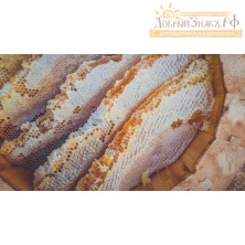 Мёд колодный выдержанный (дикий мёд в сотах)