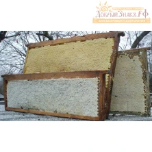 Мёд в сотах (рамочный), на вес